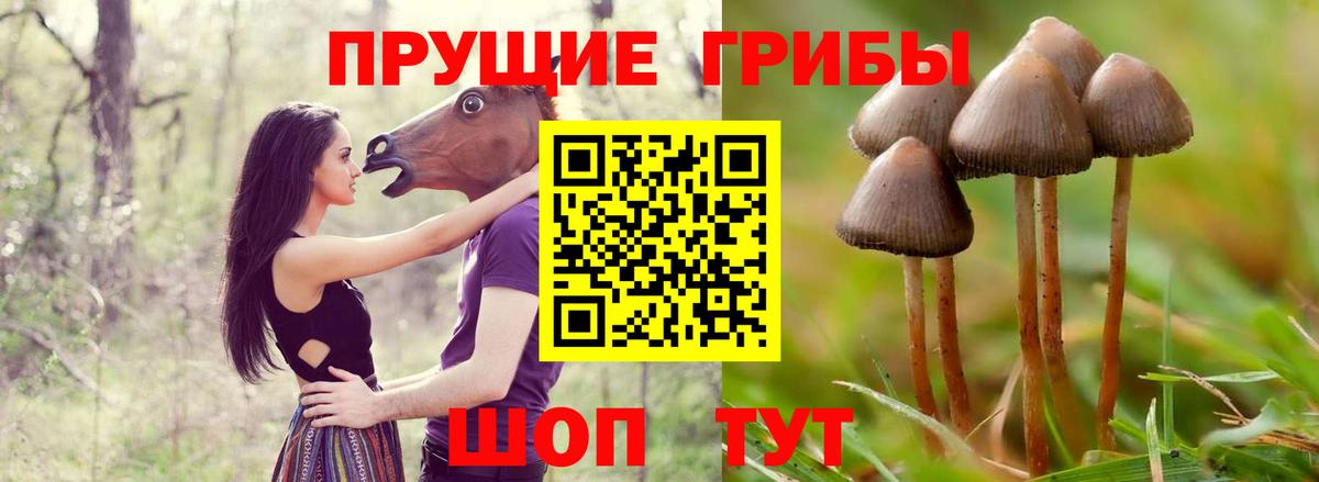 Новочебоксарск  где можно купить   Вход с VPN  Псилоцибиновые грибы мицелий 